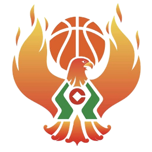 https://img.tianlanhuanjing.cn/img/basketball/team/09b49d34027e0409a4de3295f8c71a2d.png